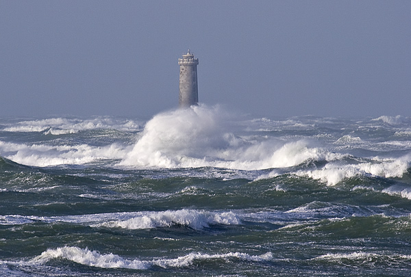 Le Phare des Baleineaux